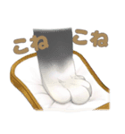 猫のおててスタンプ（個別スタンプ：15）