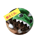 のぶにゃんすたんぷ（個別スタンプ：21）