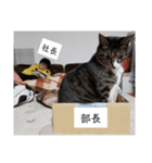 のぶにゃんすたんぷ（個別スタンプ：22）