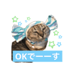 おいけファミリー（個別スタンプ：4）