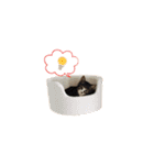 まどかのププ。（個別スタンプ：6）