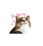 まどかのププ。（個別スタンプ：13）