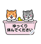 ねこワールド メッセージスタンプ（個別スタンプ：18）