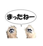 犬の人形（個別スタンプ：4）