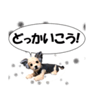 犬の人形（個別スタンプ：6）