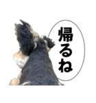 犬の人形（個別スタンプ：8）