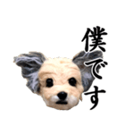 犬の人形（個別スタンプ：9）