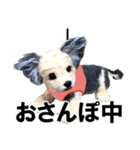 犬の人形（個別スタンプ：14）