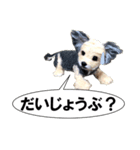 犬の人形（個別スタンプ：20）