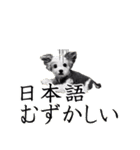 犬の人形（個別スタンプ：38）