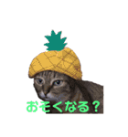 蓮ママスタンプ2（個別スタンプ：5）
