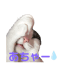 蓮ママスタンプ2（個別スタンプ：9）