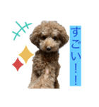 アロンとサナの生活ver.4（個別スタンプ：4）