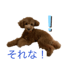 アロンとサナの生活ver.4（個別スタンプ：5）