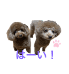 アロンとサナの生活ver.4（個別スタンプ：6）
