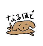 わんわん1（個別スタンプ：8）