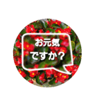 お花背景バージョン敬語スタンプ（個別スタンプ：9）