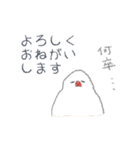 やさしい文鳥敬語（個別スタンプ：11）