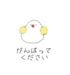 やさしい文鳥敬語（個別スタンプ：28）