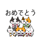 ふくねこのまいにち7（個別スタンプ：15）