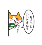 ふくねこのまいにち7（個別スタンプ：30）