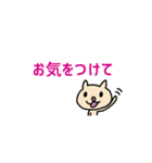 連絡ねこ（敬語編）（個別スタンプ：11）