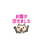 連絡ねこ（敬語編）（個別スタンプ：24）