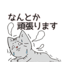 猫と仲間たちの敬語スタンプ（個別スタンプ：11）