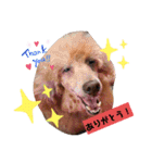 dogsアップル♪ライム♪チェリー♪シトラス（個別スタンプ：2）