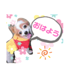 dogsアップル♪ライム♪チェリー♪シトラス（個別スタンプ：3）