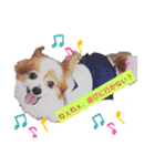 dogsアップル♪ライム♪チェリー♪シトラス（個別スタンプ：4）