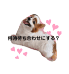 dogsアップル♪ライム♪チェリー♪シトラス（個別スタンプ：8）