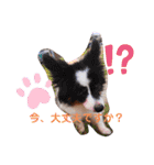 dogsアップル♪ライム♪チェリー♪シトラス（個別スタンプ：9）