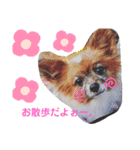 dogsアップル♪ライム♪チェリー♪シトラス（個別スタンプ：18）