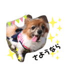 dogsアップル♪ライム♪チェリー♪シトラス（個別スタンプ：23）
