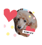 dogsアップル♪ライム♪チェリー♪シトラス（個別スタンプ：24）