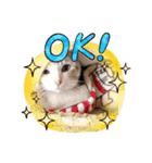 ねこのエルかめスタンプ2（個別スタンプ：7）