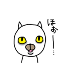 自由に生きるネコ 白猫のムフ vol3（個別スタンプ：5）