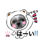 みことわんこ11（個別スタンプ：3）