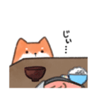 しばいぬ？（個別スタンプ：1）