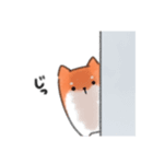 しばいぬ？（個別スタンプ：4）