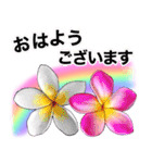 ❤️親しい人に使えるハワイアンなお花❤️（個別スタンプ：1）