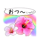 ❤️親しい人に使えるハワイアンなお花❤️（個別スタンプ：4）