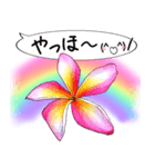 ❤️親しい人に使えるハワイアンなお花❤️（個別スタンプ：9）