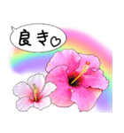 ❤️親しい人に使えるハワイアンなお花❤️（個別スタンプ：30）