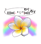 ❤️親しい人に使えるハワイアンなお花❤️（個別スタンプ：33）
