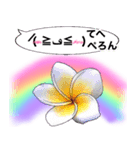 ❤️親しい人に使えるハワイアンなお花❤️（個別スタンプ：37）
