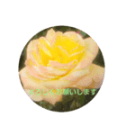 お花にメッセージを添えて（個別スタンプ：1）