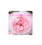 お花にメッセージを添えて（個別スタンプ：2）
