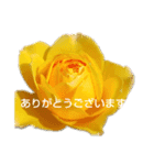 お花にメッセージを添えて（個別スタンプ：5）